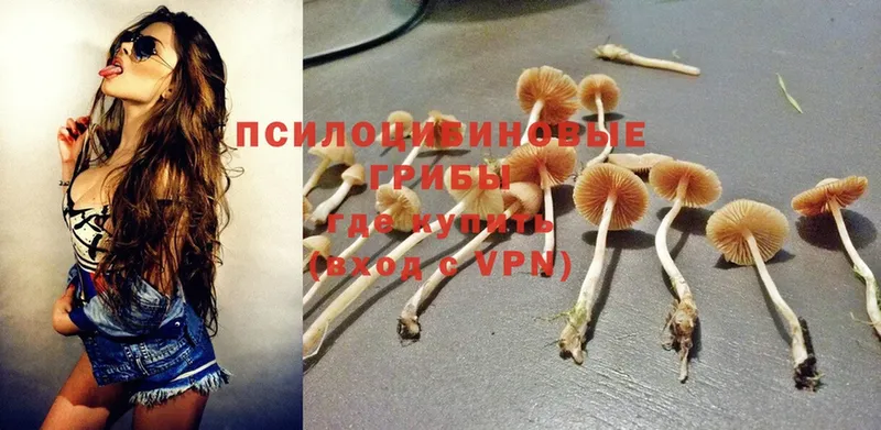 Псилоцибиновые грибы MAGIC MUSHROOMS  МЕГА зеркало  Октябрьский 